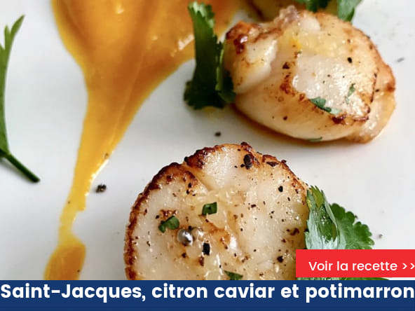 Noix de St Jacques au citron caviar et son crémeux de potimarron